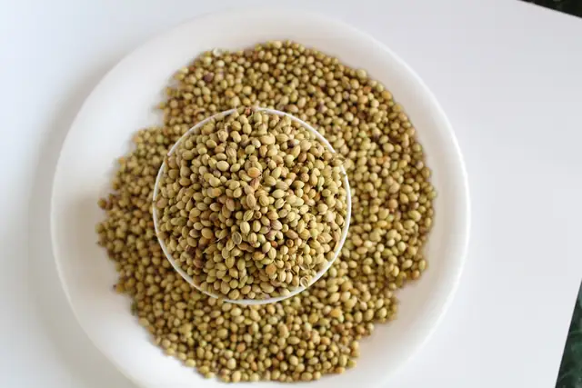 Finger Millet (Ragi)